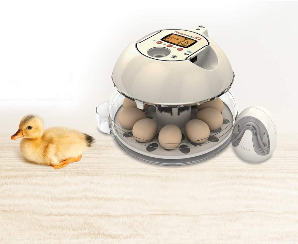 Arcom Rcom 10 Series Small Egg Incubator Alcom Rcom Pro 10 Small Automatic Egg Incubator Egg FluffEgg Shaker
